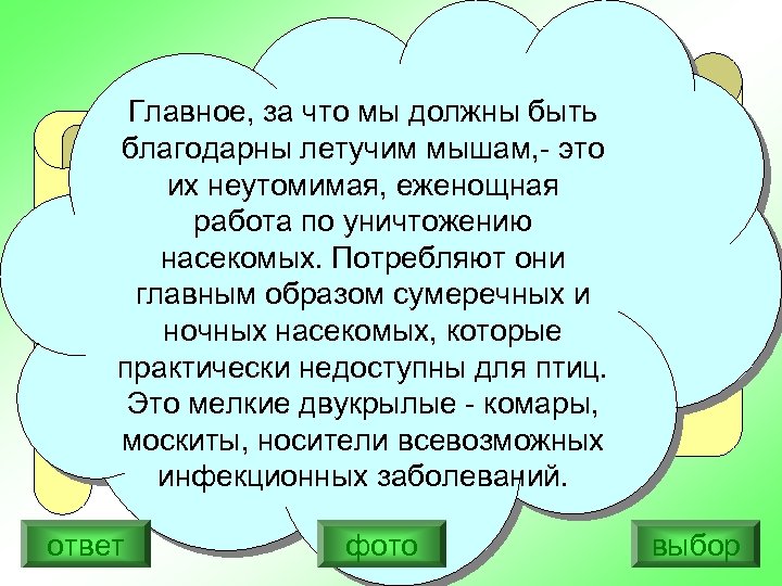 Главное, за что мы должны быть На земном шаре нет, пожалуй, такого благодарны летучим