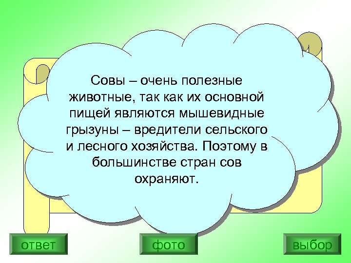 Ох, и не любят меня люди. Совы – очень полезные Голос им не нравится,