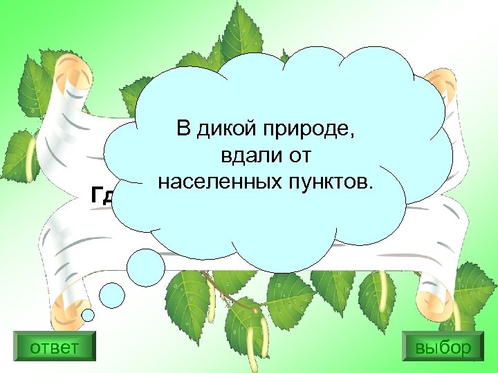 В дикой природе, вдали от населенных пунктов. Где создаются заповедники? ответ выбор 