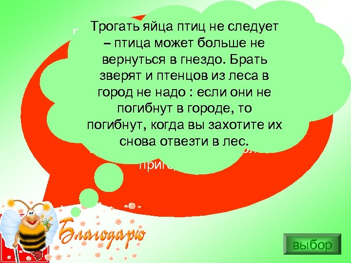 Трогать яйца птиц не следует В кустах мы нашли гнездо какой– птица может больше