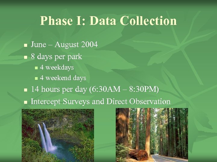 Phase I: Data Collection n n June – August 2004 8 days per park
