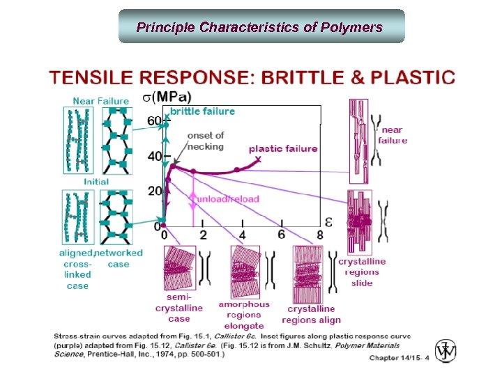 Principle Characteristics of Polymers 