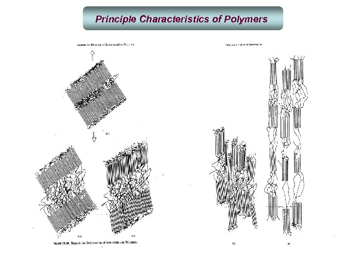 Principle Characteristics of Polymers 