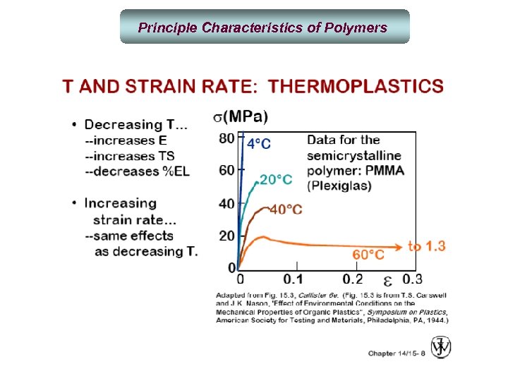 Principle Characteristics of Polymers 