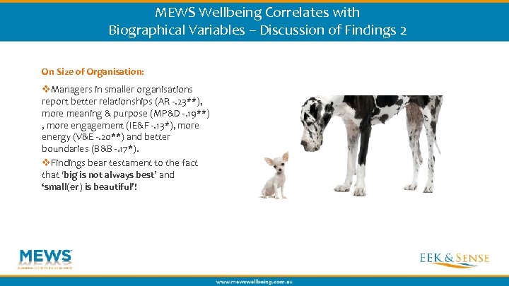 MEWS Wellbeing Correlates with Biographical Variables – Discussion of Findings 2 On Size of