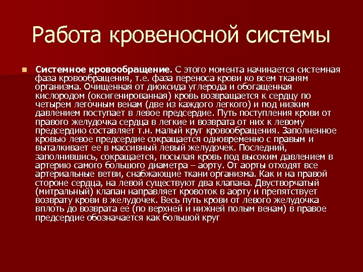 Работа кровеносной системы n Системное кровообращение. С этого момента начинается системная фаза кровообращения, т.