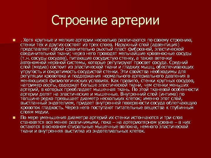 Строение артерии n n . Хотя крупные и мелкие артерии несколько различаются по своему