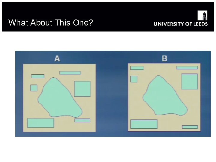 What About This One? 