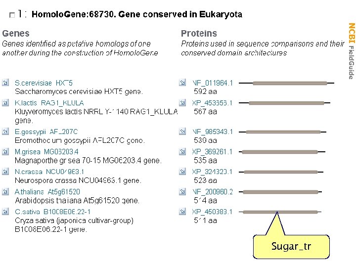 RAG 1 NCBI Field. Guide Sugar_tr 