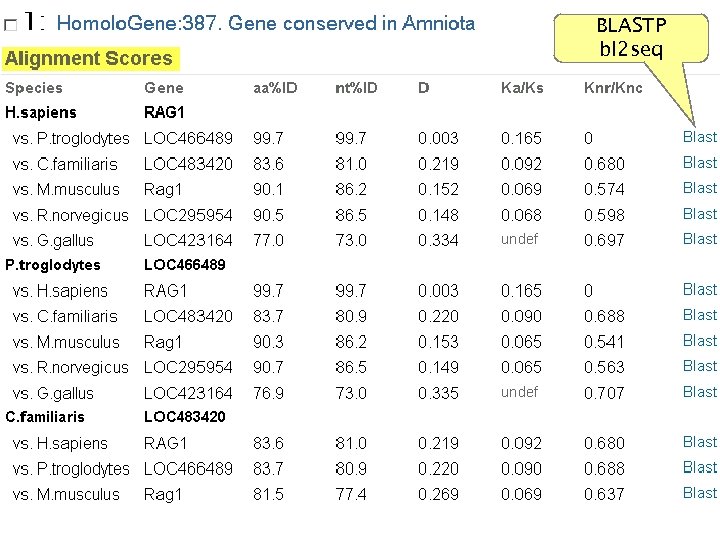 NCBI Field. Guide BLASTP bl 2 seq 