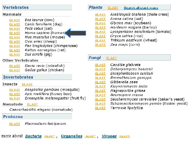 NCBI Field. Guide List View 