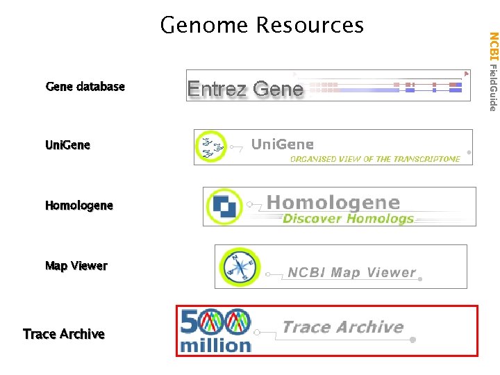 Locus. Link Gene database Uni. Gene Homologene Map Viewer Trace Archive NCBI Field. Guide