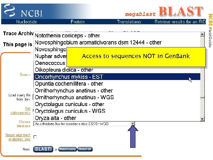 Access to sequences NOT in Gen. Bank NCBI Field. Guide Trace Archive BLAST Page