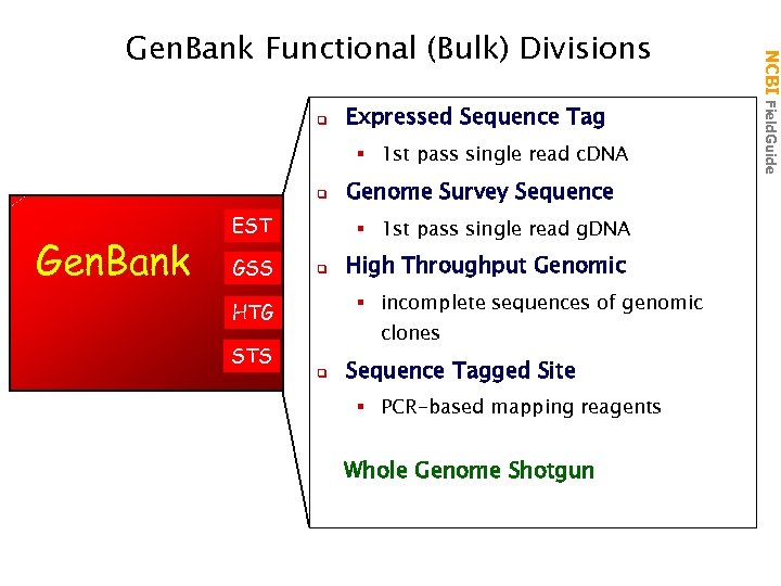 q Expressed Sequence Tag § 1 st pass single read c. DNA q Gen.