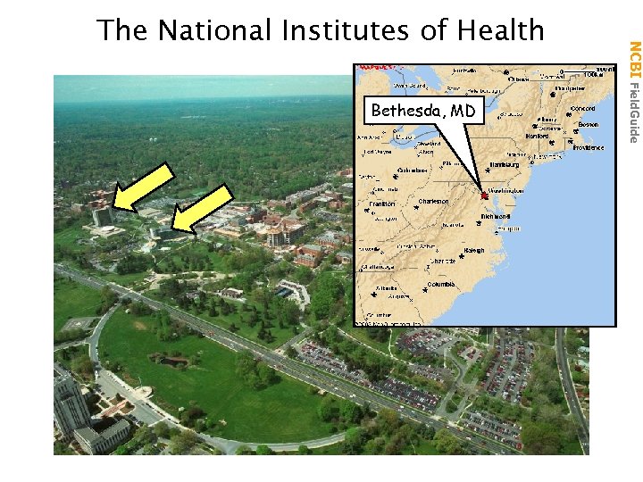 Bethesda, MD NCBI Field. Guide The National Institutes of Health 