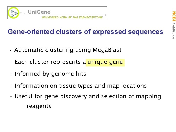 Gene-oriented clusters of expressed sequences • Automatic clustering using Mega. Blast • Each cluster