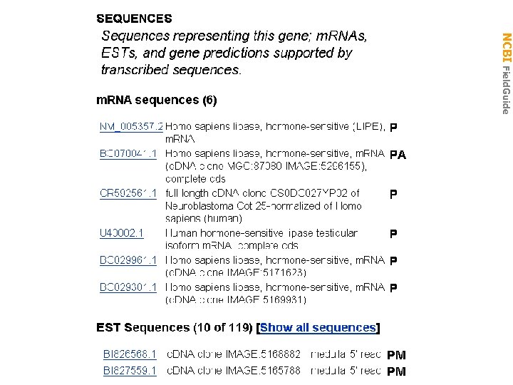 NCBI Field. Guide Uni. Gene Cluster Hs. 95351: seqs 