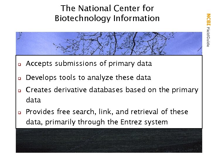 q Accepts submissions of primary data q Develops tools to analyze these data q