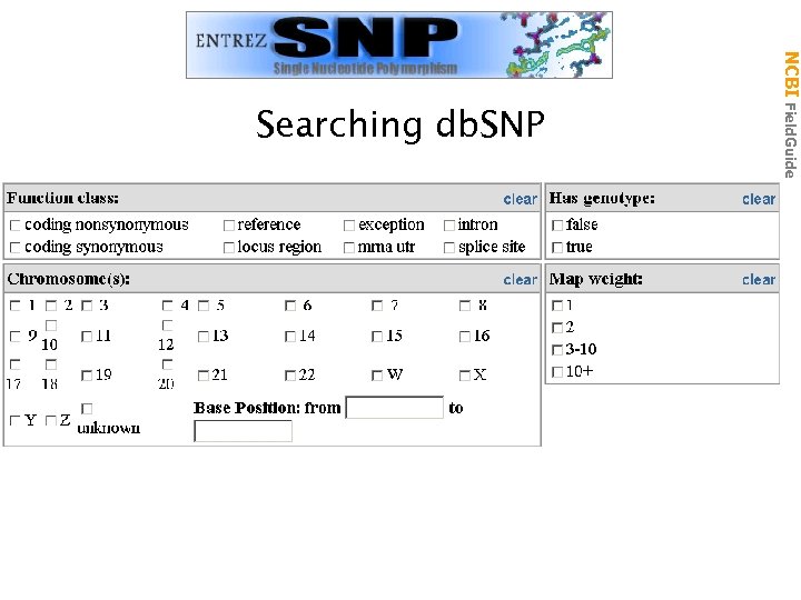 NCBI Field. Guide Searching db. SNP 