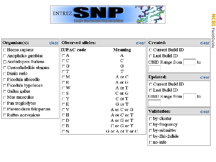 NCBI Field. Guide Ref. SNP 