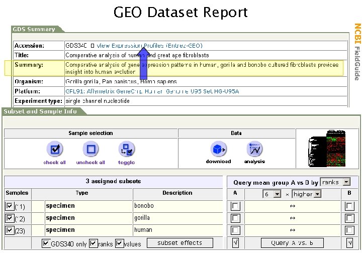 NCBI Field. Guide GEO Dataset Report 