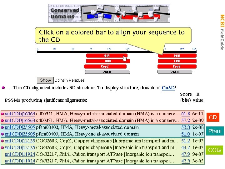 NCBI Field. Guide CDD Click on a colored bar to align your sequence to