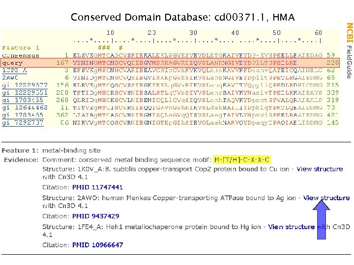 NCBI Field. Guide Conserved Domain Database: cd 00371. 1, HMA 