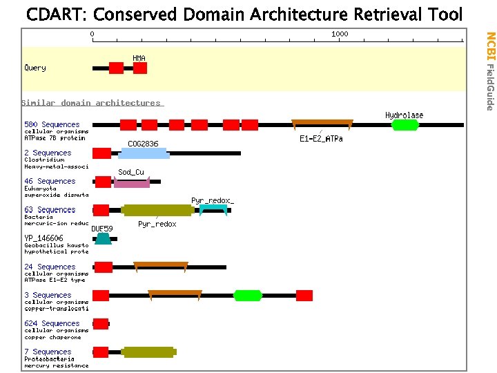 CDART: Conserved Domain Architecture Retrieval Tool NCBI Field. Guide 