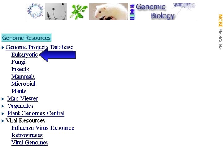 Gen Biol: Gen Resources NCBI Field. Guide 