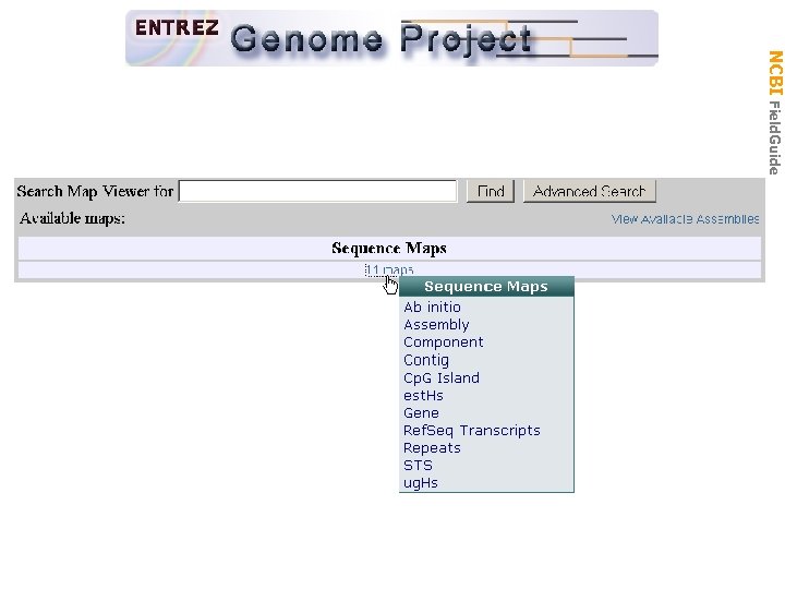 Gen Biol: Gen Resources NCBI Field. Guide 
