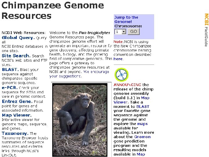 NCBI Field. Guide Gen Biol: Gen Resources 