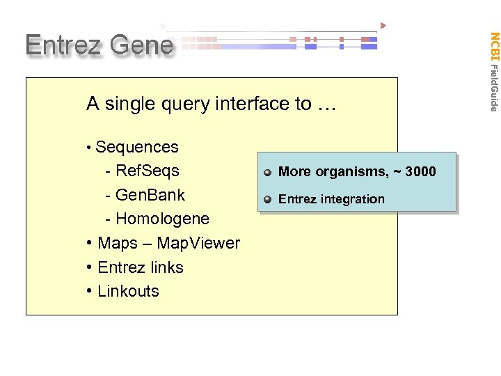 A single query interface to … • Sequences - Ref. Seqs - Gen. Bank