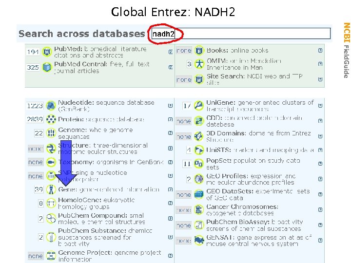 Global Entrez: NADH 2 NCBI Field. Guide 