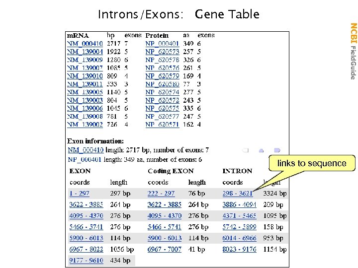 NCBI Field. Guide Introns/Exons: Gene Table links to sequence 