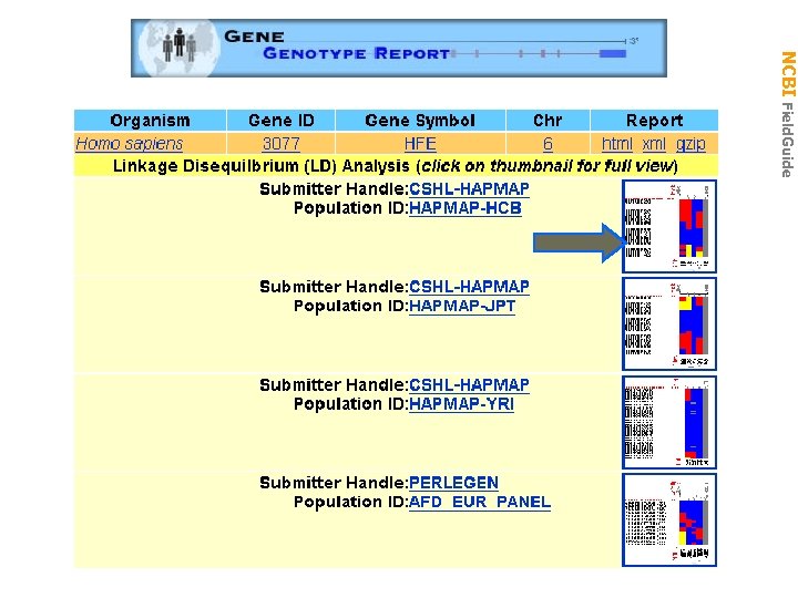 NCBI Field. Guide Genotype 