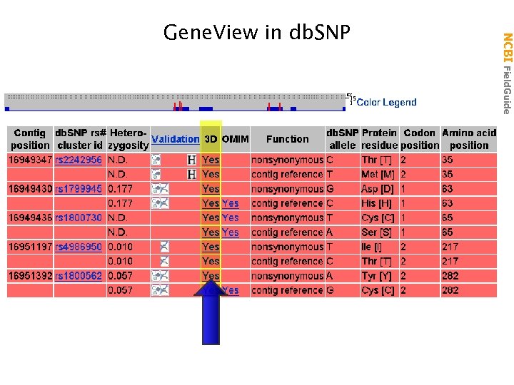 NCBI Field. Guide Gene. View in db. SNP 