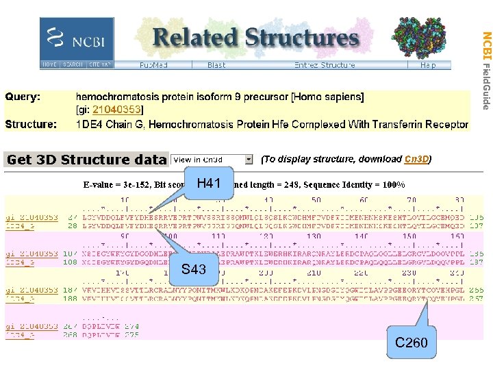 NCBI Field. Guide SNP in Structure H 41 S 43 C 260 