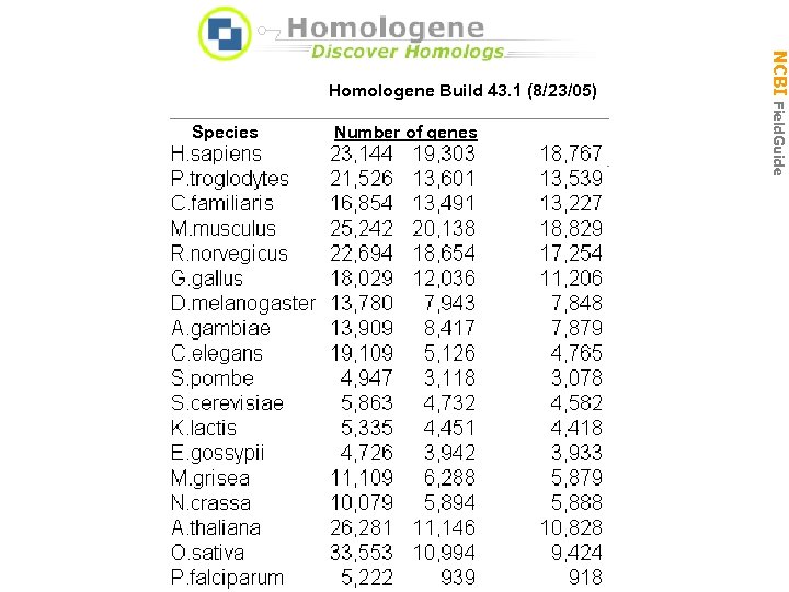 Homologene Build 43. 1 (8/23/05) Species Number of genes input grouped groups NCBI Field.