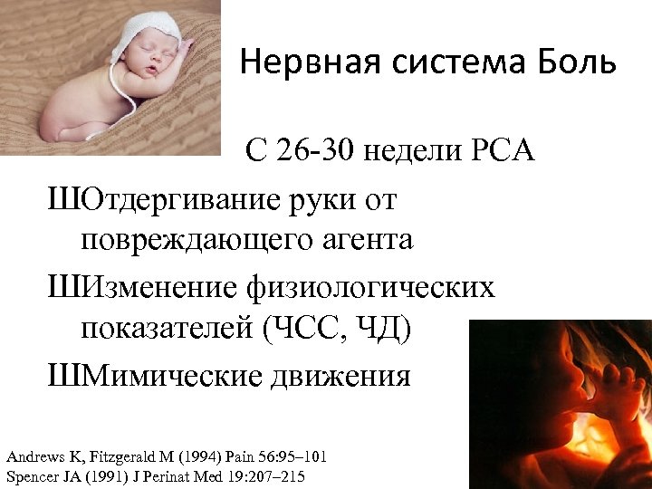 Нервная система Боль С 26 -30 недели РСА ШОтдергивание руки от повреждающего агента ШИзменение