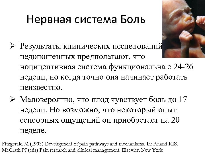 Нервная система Боль Ø Результаты клинических исследований недоношенных предполагают, что ноцицептивная система функциональна с