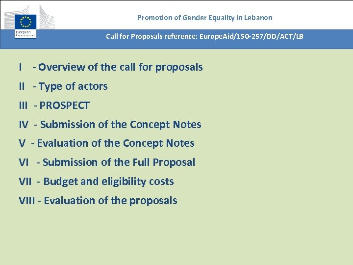 Promotion of Gender Equality in Lebanon Call for Proposals reference: Europe. Aid/150 -257/DD/ACT/LB I