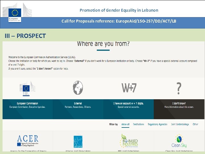 Promotion of Gender Equality in Lebanon Call for Proposals reference: Europe. Aid/150 -257/DD/ACT/LB III