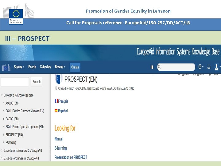 Promotion of Gender Equality in Lebanon Call for Proposals reference: Europe. Aid/150 -257/DD/ACT/LB III
