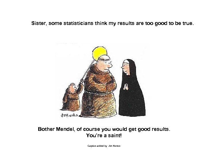 Sister, some statisticians think my results are too good to be true. Bother Mendel,