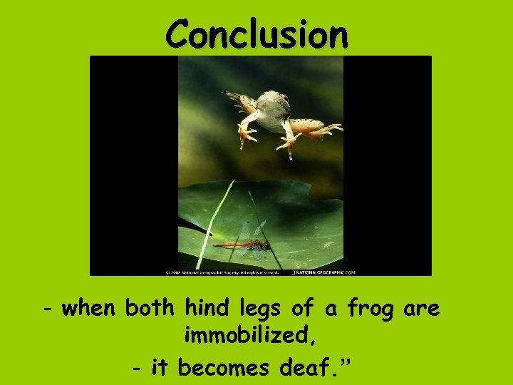 Conclusion - when both hind legs of a frog are immobilized, - it becomes