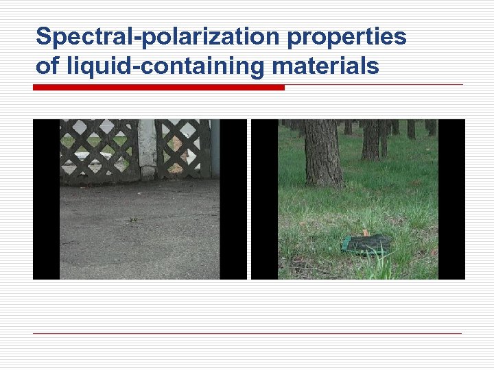 Spectral-polarization properties of liquid-containing materials 