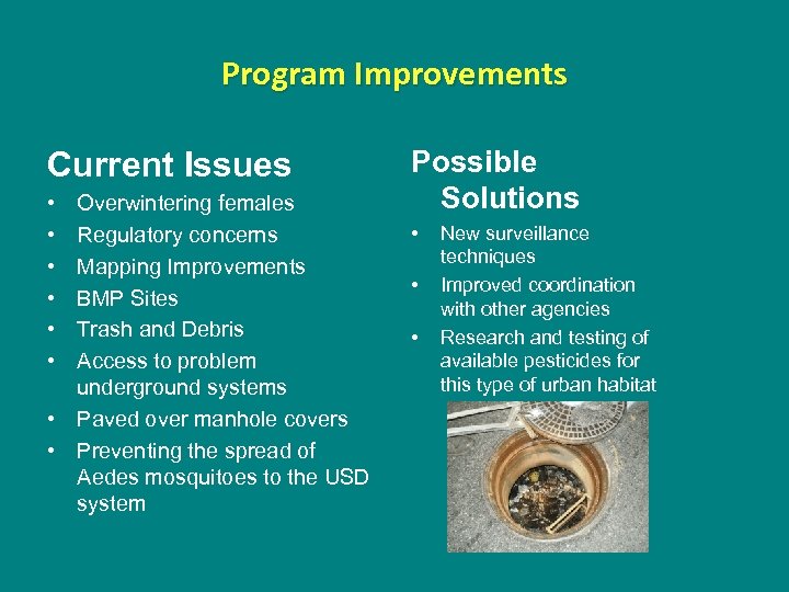 Program Improvements Current Issues • • • Overwintering females Regulatory concerns Mapping Improvements BMP