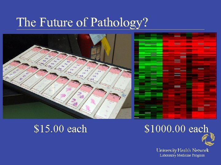 The Future of Pathology? $15. 00 each $1000. 00 each Laboratory Medicine Program 