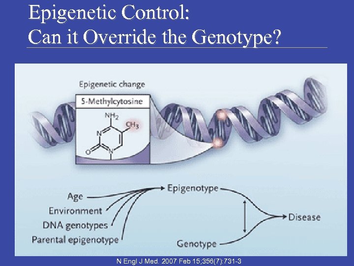 Epigenetic Control: Can it Override the Genotype? Laboratory Medicine Program N Engl J Med.