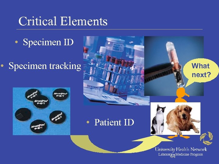 Critical Elements • Specimen ID • Specimen tracking What next? • Patient ID Laboratory